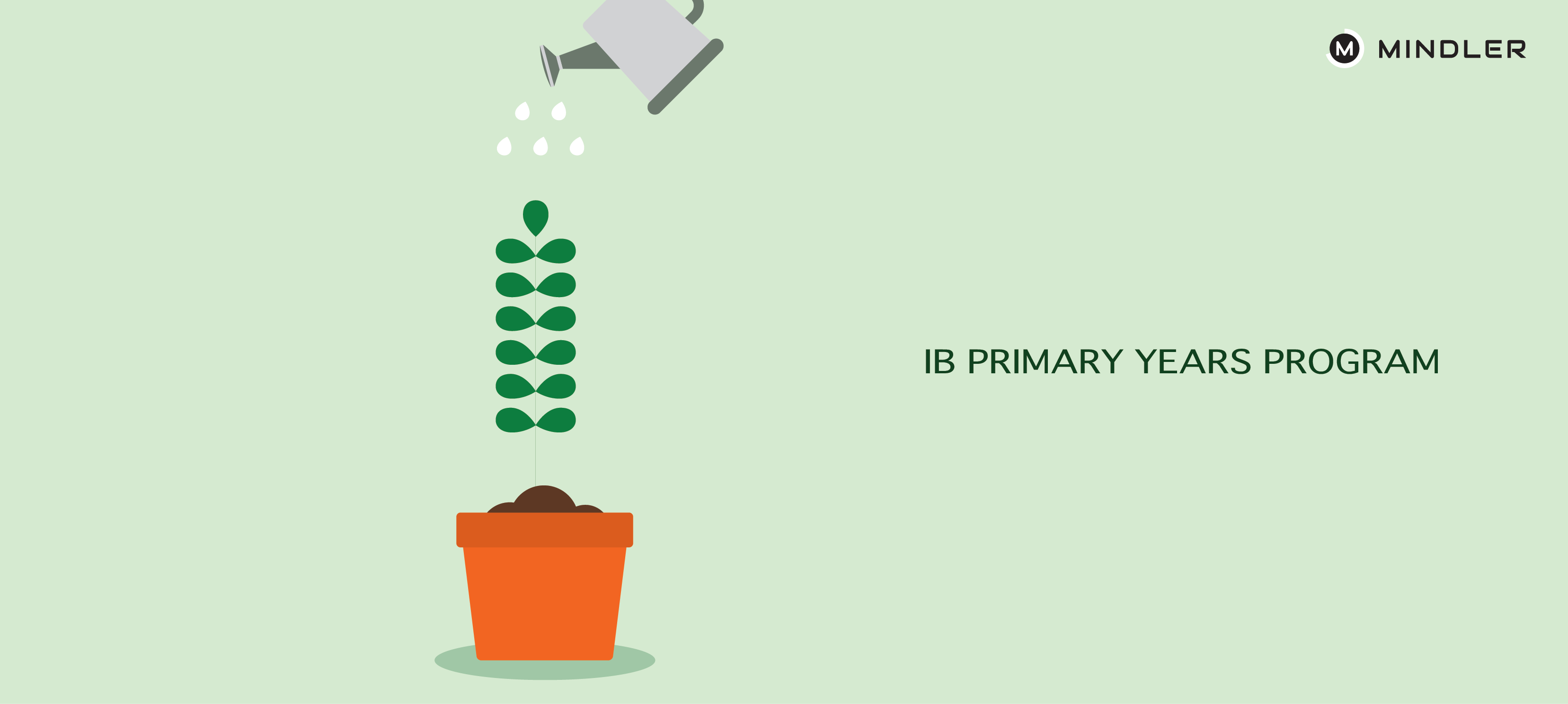 Primary-Program-IB-Board