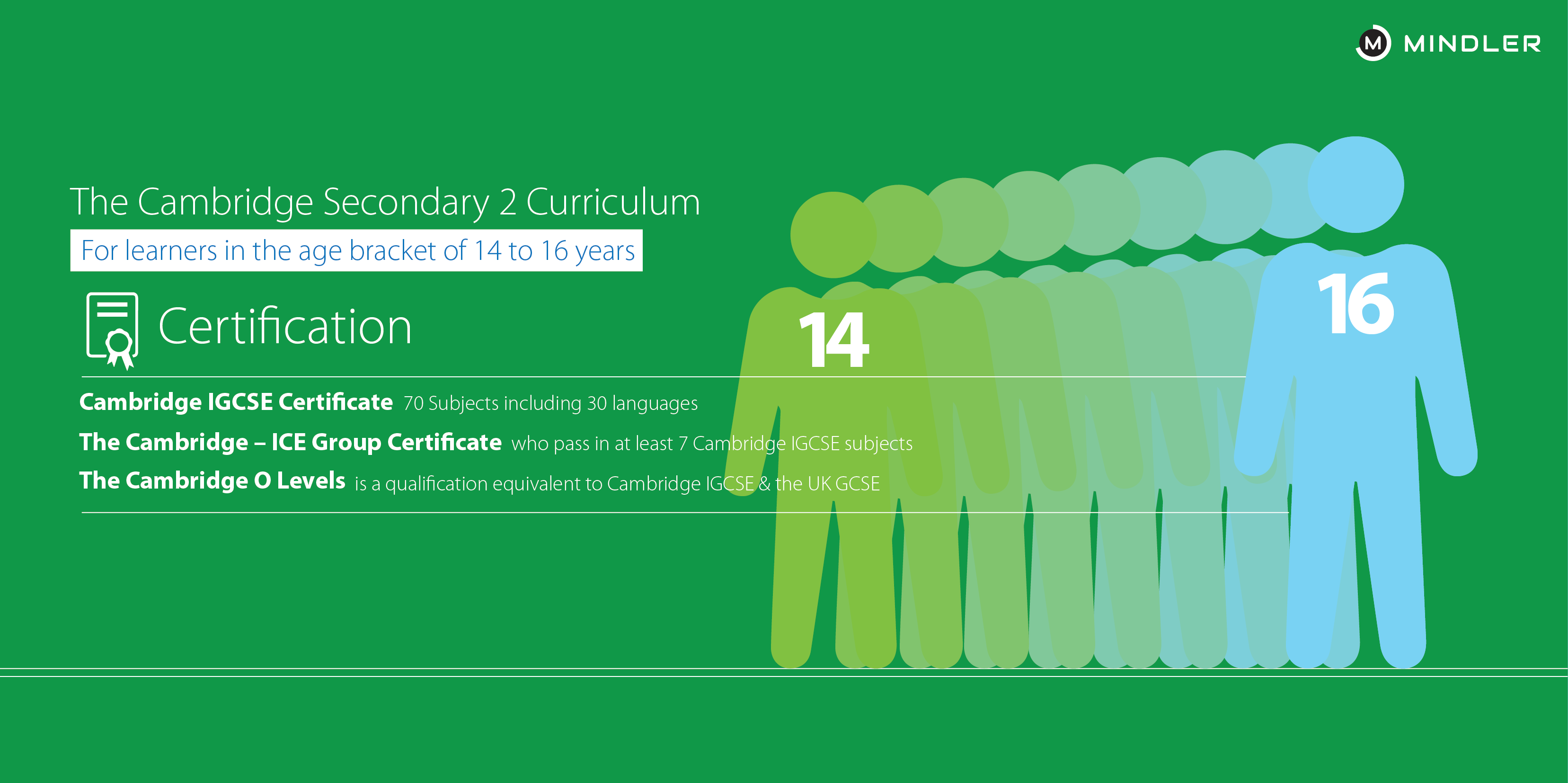 cambridge-board-secondary-curriculum